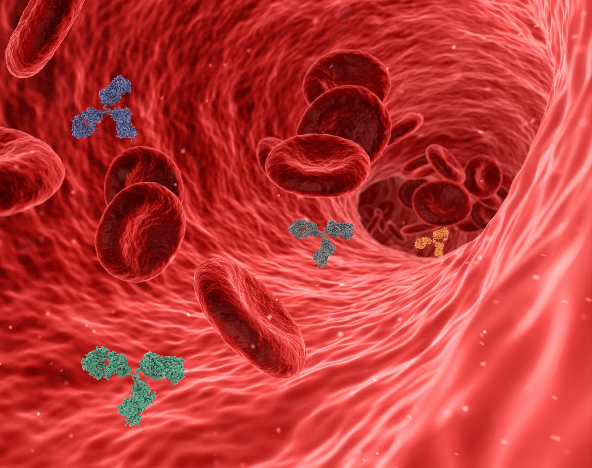 Rheumatische Erkrankungen - Viren im Blutbild